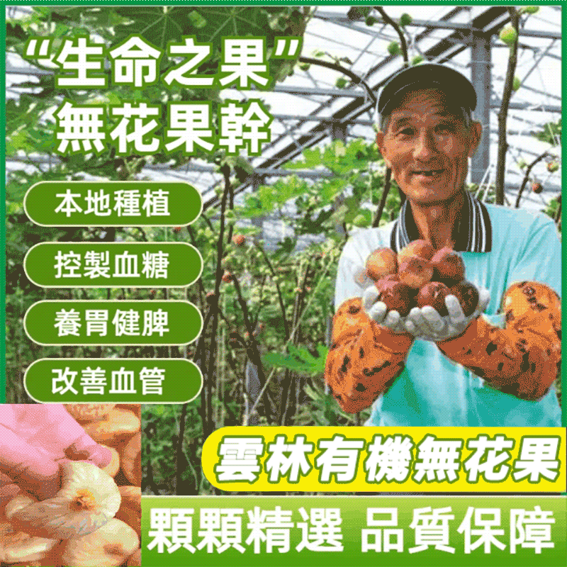 【台灣雲林頂級無花果乾】天然有機果王! 美容養顏、改善便秘、清熱生津、强健體質 抗癌抗瘤、降脂降壓、預防三高等多種功效 【台灣雲林頂級無花果乾】天然有機果王! 美容養顏、改善便秘、清熱生津、强健體質 抗癌抗瘤、降脂降壓、預防三高等多種功效